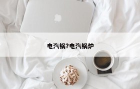 电汽锅?电汽锅炉